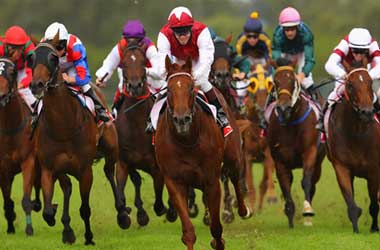 Betting News for the 28th March 2014