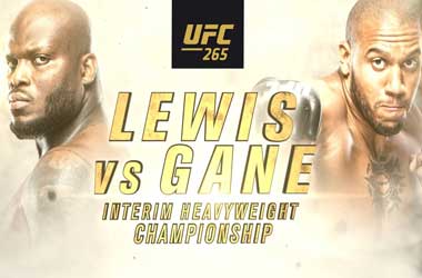 UFC 265